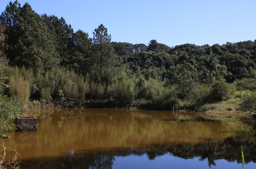  Brasil ganha 1,7 milhão de hectares de superfície de água em 2022