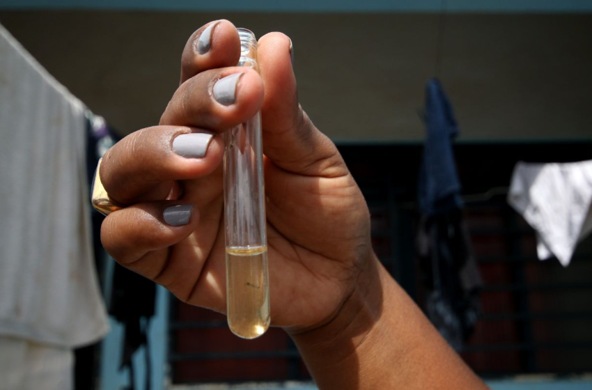  Níveis altos de infestação do mosquito da dengue são apontados na região