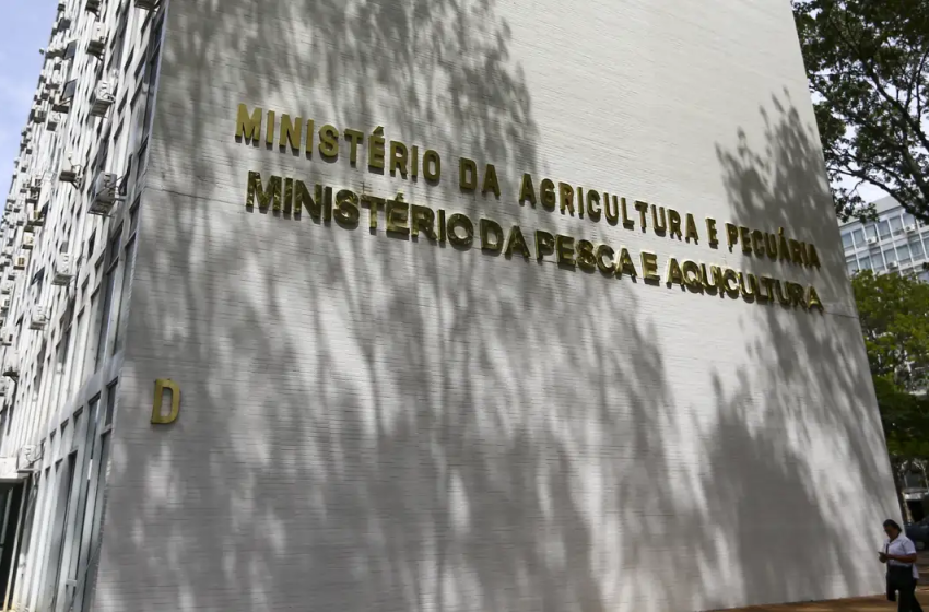 Força-tarefa apreende mais de 6 mil garrafas de azeite falsificado