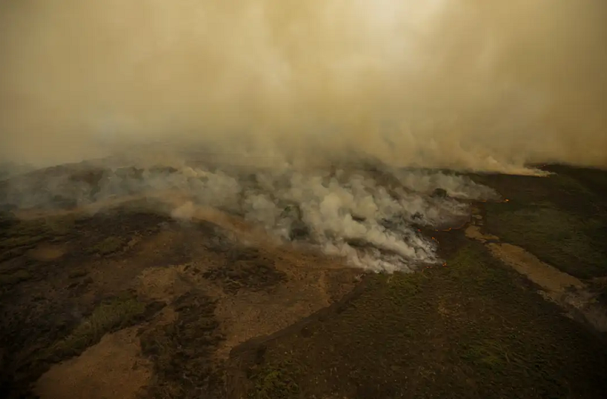  Pesquisa mede emissão de óxido nitroso na Amazônia e no Pantanal