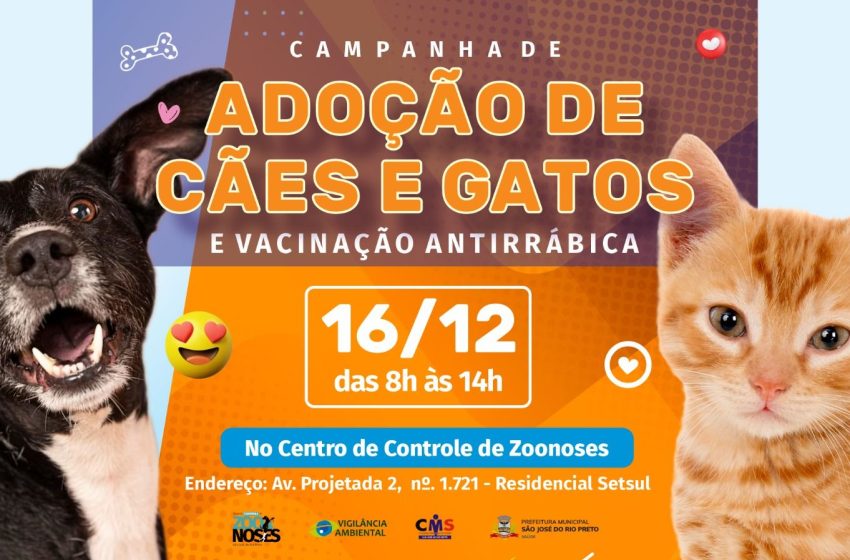  Centro de Controle de Zoonoses promove última feira de adoção do ano