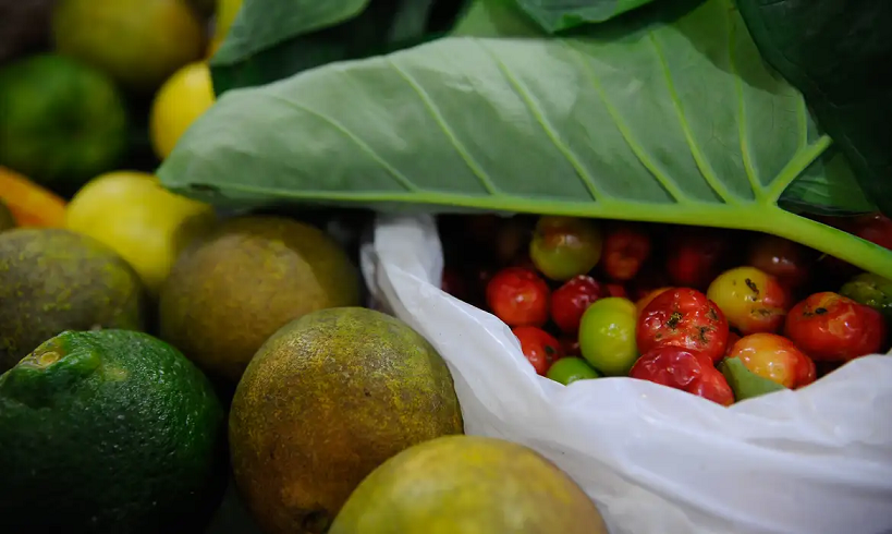  Registro de novos agrotóxicos segue em alta no Brasil, diz Mapa