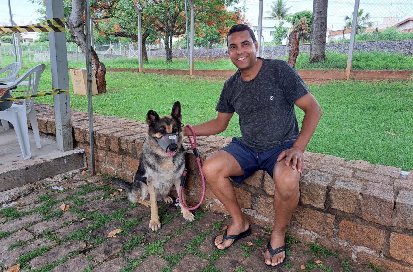  1º Mutirão de Castração acontece no Pet Park