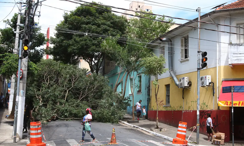  Homem morre após ser atingido por queda de árvore durante temporal