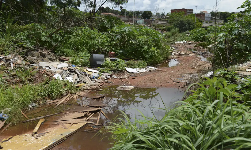  Universidade de Brasília faz pesquisas para controlar Aedes aegypti