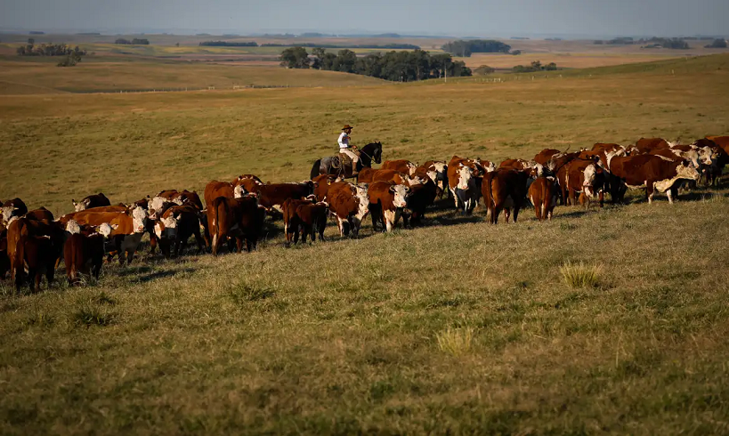  Monitor do PIB aponta crescimento de 3% da economia em 2023