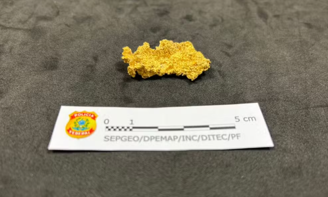  Polícia encontra com Costa Neto pepita de ouro extraída ilegalmente