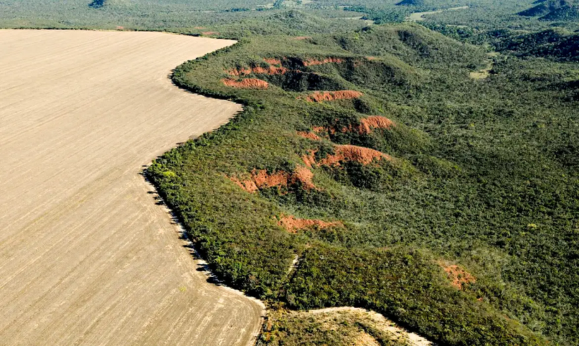  Cerrado tem alta de 19% nos alertas de desmatamento em fevereiro